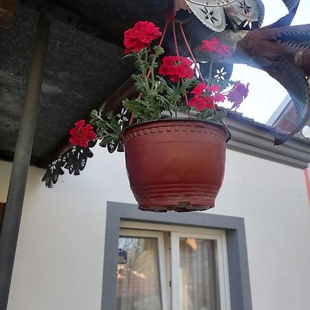 Etno Kuca Badejevic Villa Plavna Buitenkant foto