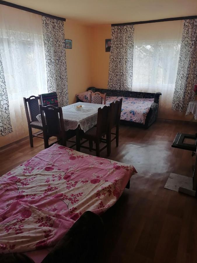 Etno Kuca Badejevic Villa Plavna Buitenkant foto