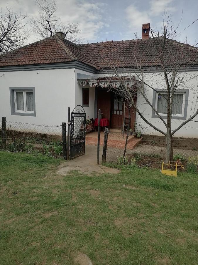 Etno Kuca Badejevic Villa Plavna Buitenkant foto