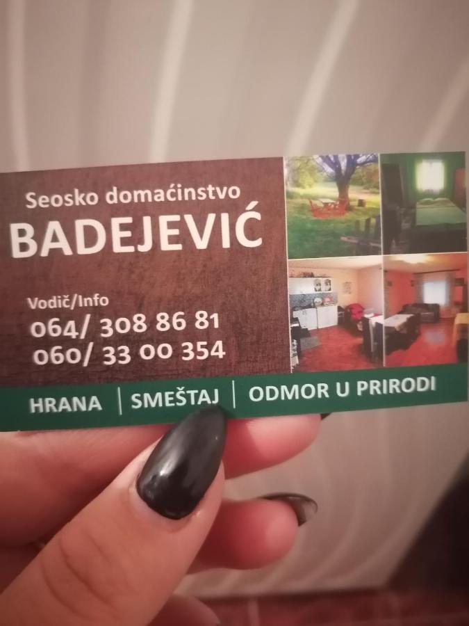 Etno Kuca Badejevic Villa Plavna Buitenkant foto