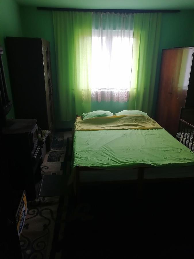 Etno Kuca Badejevic Villa Plavna Buitenkant foto