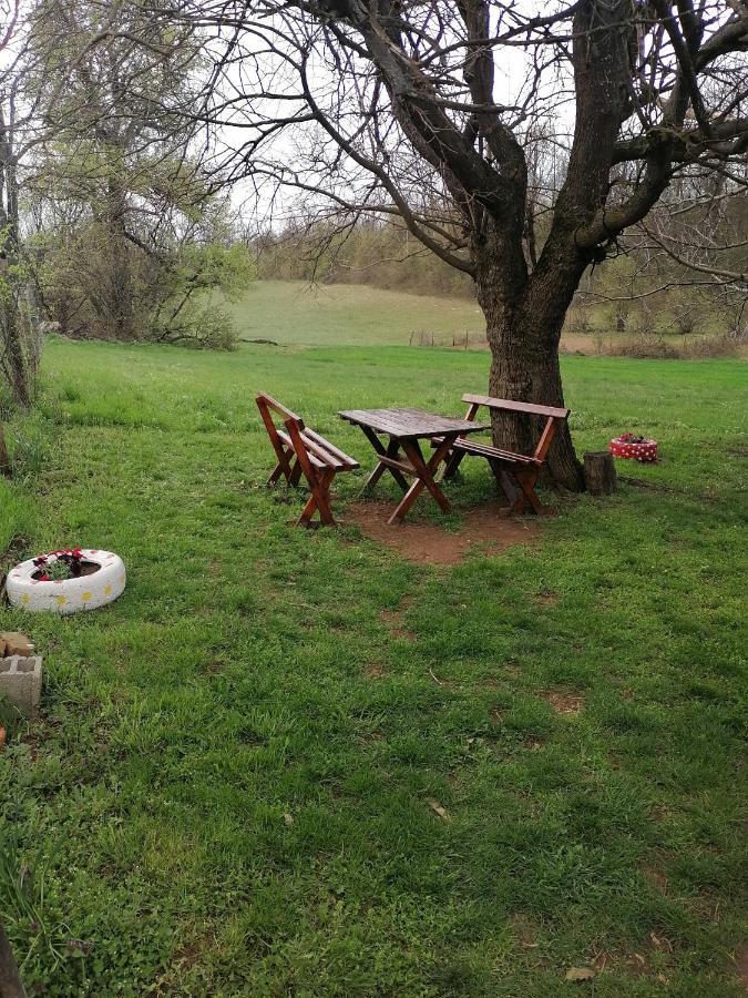 Etno Kuca Badejevic Villa Plavna Buitenkant foto