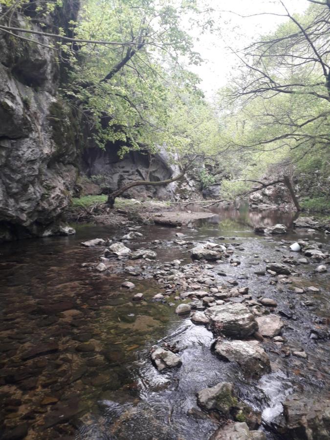 Etno Kuca Badejevic Villa Plavna Buitenkant foto