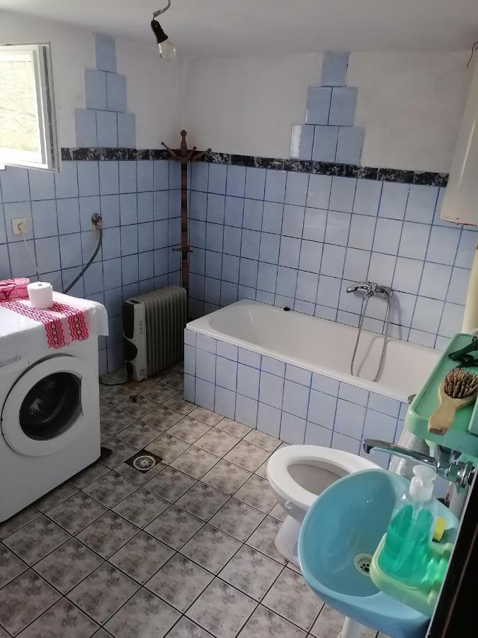 Etno Kuca Badejevic Villa Plavna Buitenkant foto