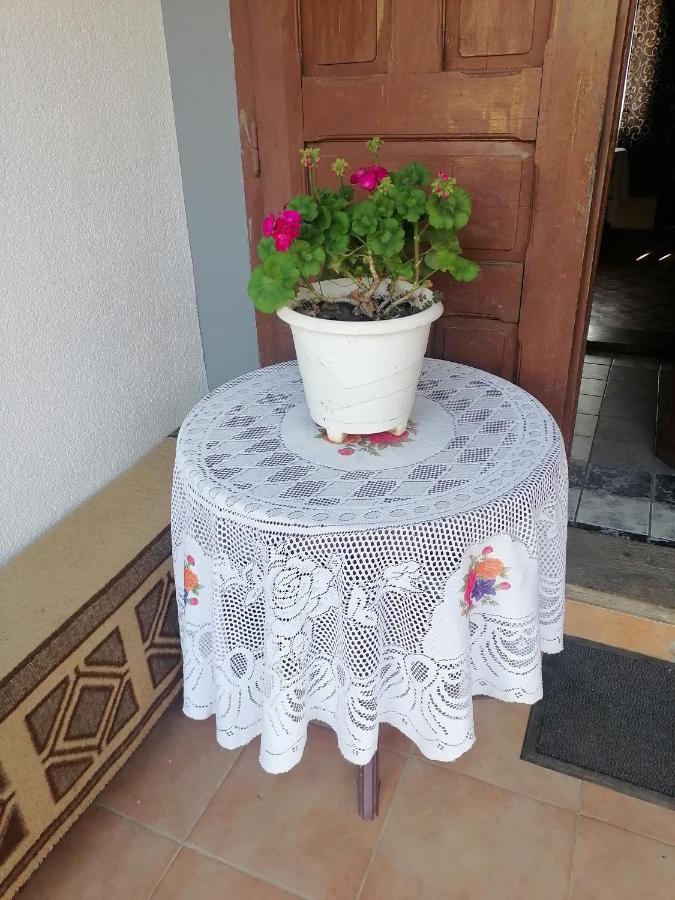 Etno Kuca Badejevic Villa Plavna Buitenkant foto