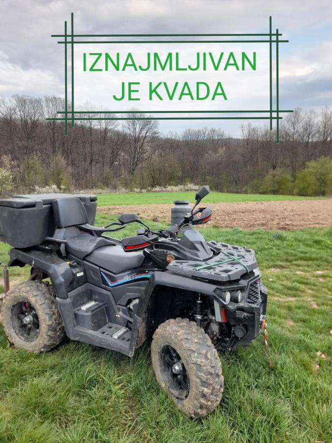 Etno Kuca Badejevic Villa Plavna Buitenkant foto
